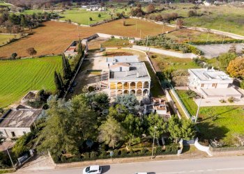 Foto 3 - Stabile - Palazzo Strada provinciale 237, Noci - foto 3