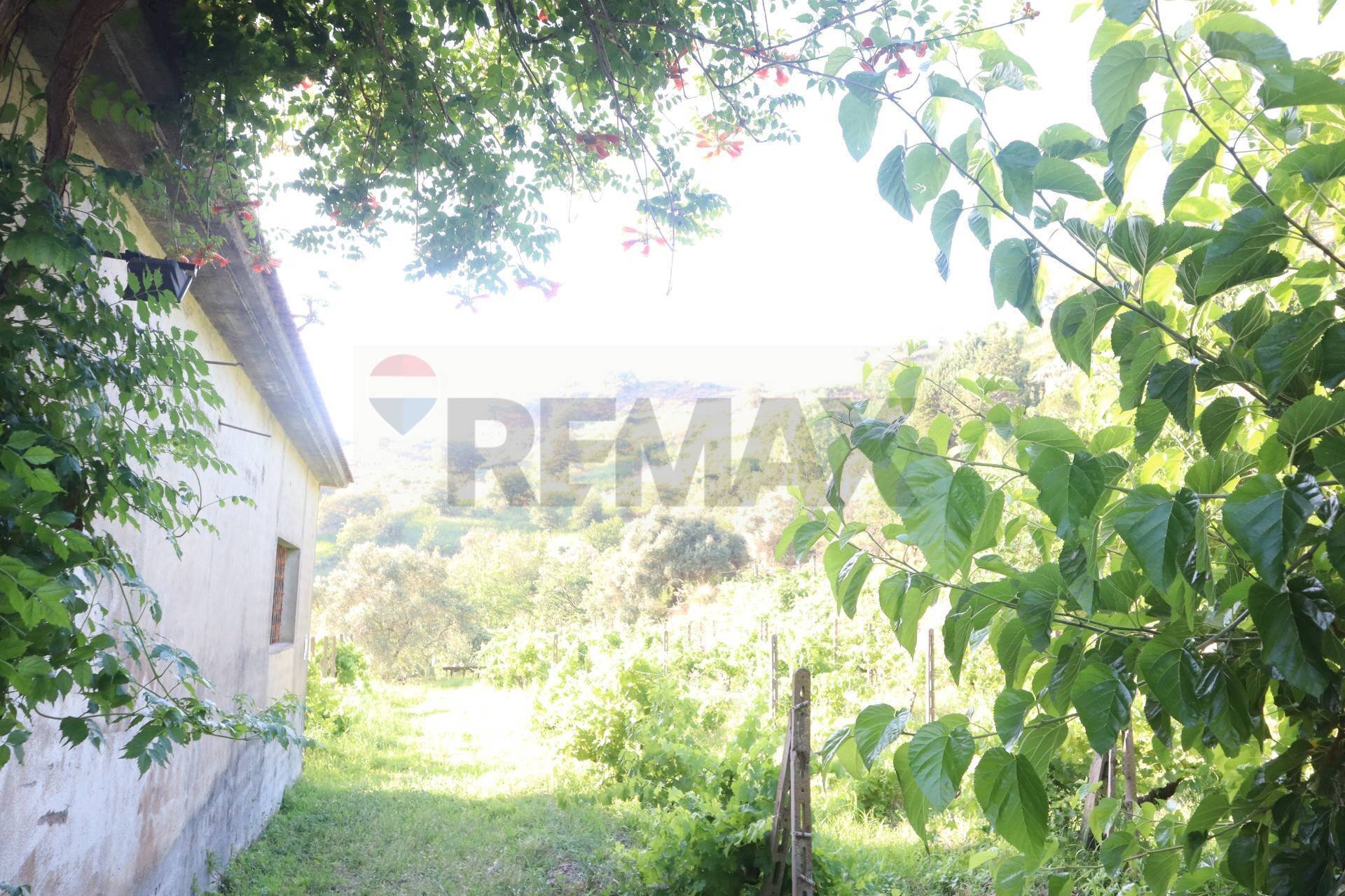 Vista delle montagne - Casa indipendente contrada rausa
11, Castiglione di Sicilia - foto 3
