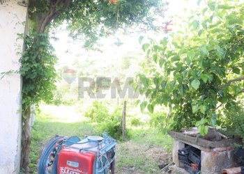 Giardino - Casa indipendente contrada rausa
 
11, Castiglione di Sicilia - foto 2