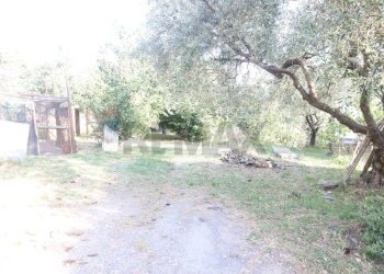 Giardino - Casa indipendente contrada rausa
 
11, Castiglione di Sicilia - foto 4