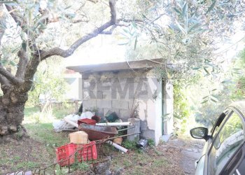 Giardino - Casa indipendente contrada rausa
 
11, Castiglione di Sicilia - foto 6