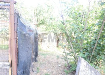 Giardino - Casa indipendente contrada rausa
 
11, Castiglione di Sicilia - foto 7