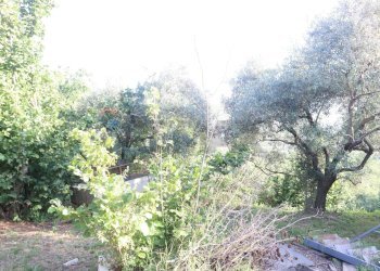 Non correlato - Casa indipendente contrada rausa
 
11, Castiglione di Sicilia - foto 8