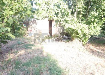 Giardino - Casa indipendente contrada rausa
 
11, Castiglione di Sicilia - foto 10