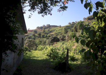 Vista delle montagne - Casa indipendente contrada rausa
 
11, Castiglione di Sicilia - foto 13