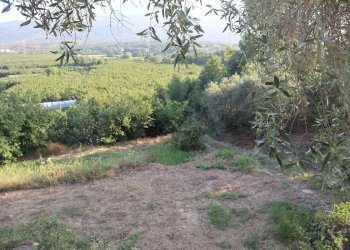 Giardino - Casa indipendente contrada rausa
 
11, Castiglione di Sicilia - foto 16