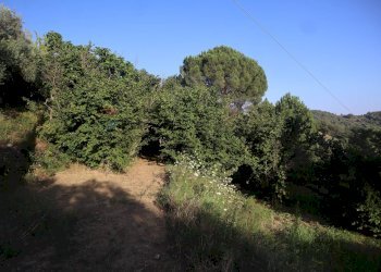Giardino - Casa indipendente contrada rausa
 
11, Castiglione di Sicilia - foto 18