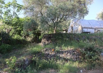 Giardino - Casa indipendente contrada rausa
 
11, Castiglione di Sicilia - foto 19