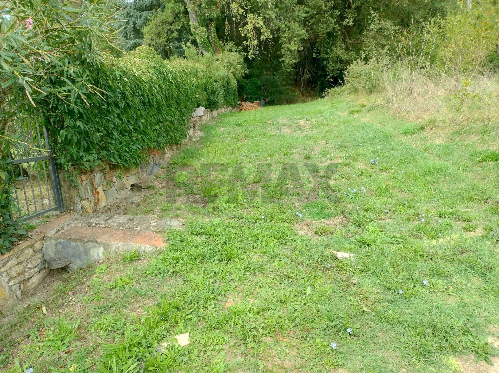 Giardino - Terreno agricolo via di poggio auzzo, Montevarchi - foto 3