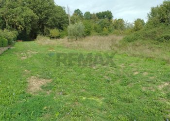 Giardino - Terreno agricolo via di poggio auzzo, Montevarchi - foto 4