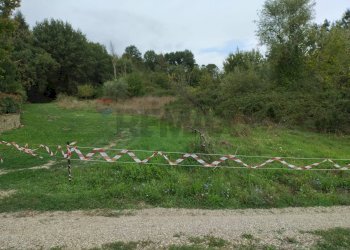 Giardino - Terreno agricolo via di poggio auzzo, Montevarchi - foto 5