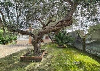 Giardino - Villa Contrada Bordino, Agira - foto 28