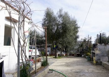 Edificio all\'aperto - Villa Località Piano Grande
 
9, Vieste - foto 16