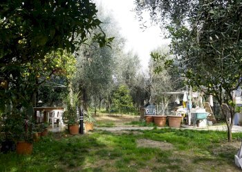 Giardino - Villa Località Piano Grande
 
9, Vieste - foto 18