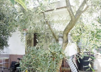 Edificio all\'aperto - Villa Località Piano Grande
 
9, Vieste - foto 25