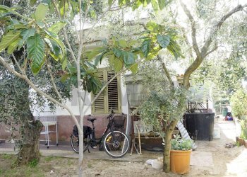 Giardino - Villa Località Piano Grande
 
9, Vieste - foto 26