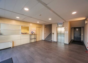 Foto 8 - Capannone Via Tetti Dell'Oleo, Borgaro Torinese - foto 8