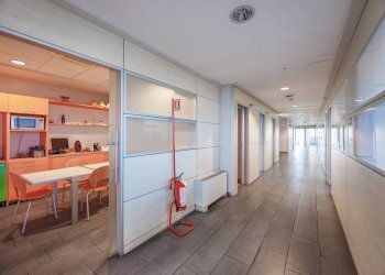 Foto 14 - Capannone Via Tetti Dell'Oleo, Borgaro Torinese - foto 14