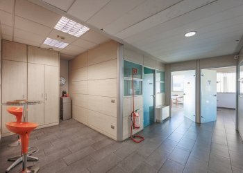 Foto 15 - Capannone Via Tetti Dell'Oleo, Borgaro Torinese - foto 15