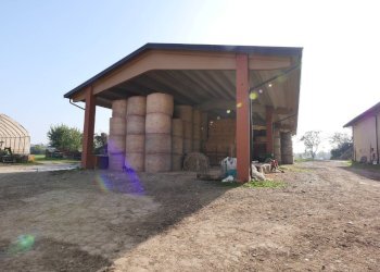 Foto 16 - Terreno agricolo Strada Del Portone, Grugliasco - foto 16