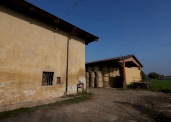 Foto 17 - Terreno agricolo Strada Del Portone, Grugliasco - foto 17