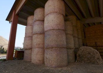 Foto 22 - Terreno agricolo Strada Del Portone, Grugliasco - foto 22