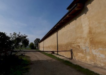 Foto 31 - Terreno agricolo Strada Del Portone, Grugliasco - foto 31