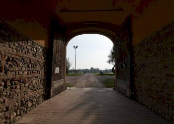 Foto 38 - Terreno agricolo Strada Del Portone, Grugliasco - foto 38