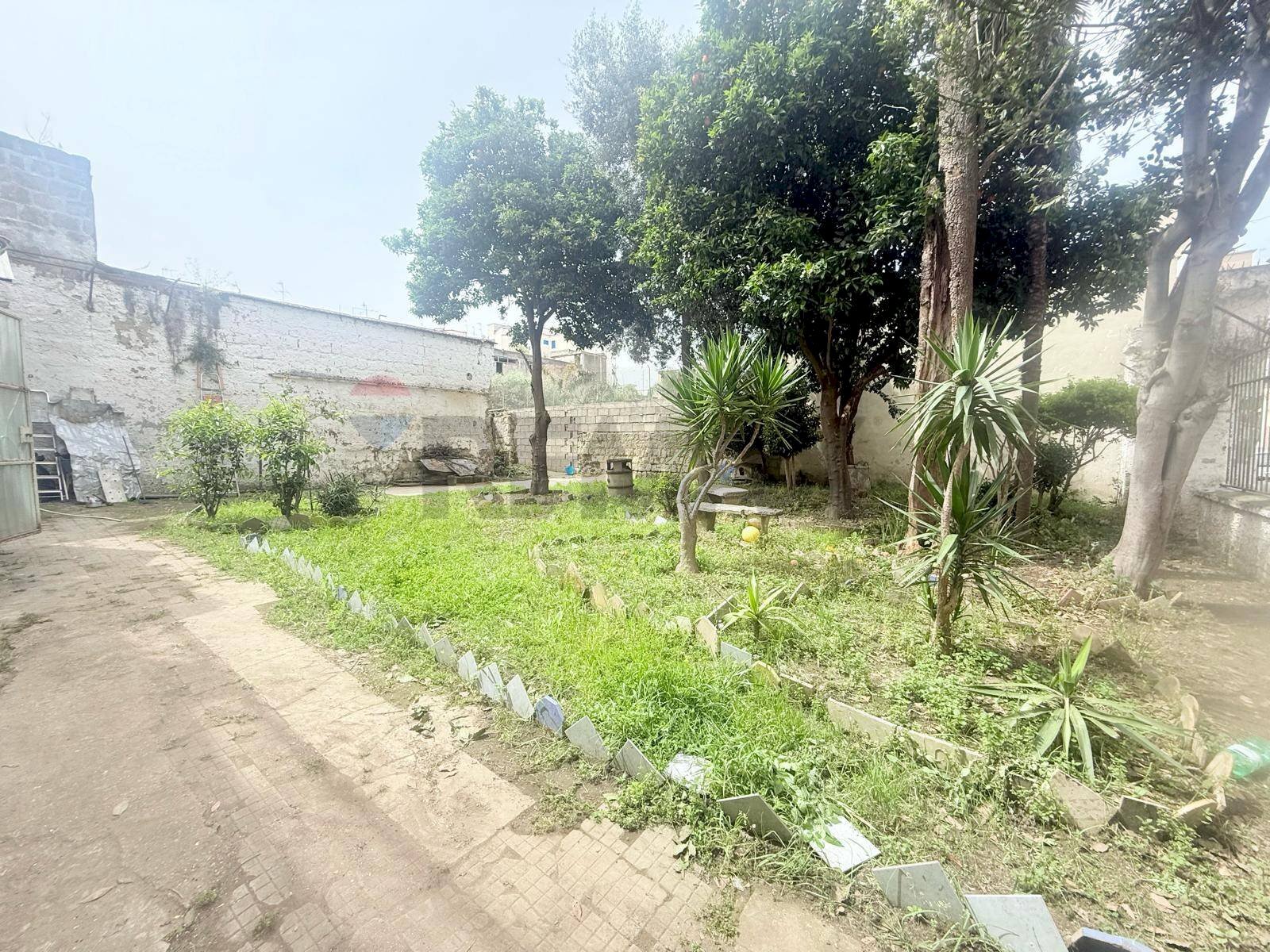 Giardino - Semi-detached house Via Francesco Bolvito
 
1, Napoli - photo 3