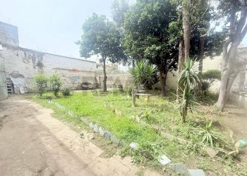 Giardino - Casa semi indipendente Via Francesco Bolvito
1, Napoli - foto 3