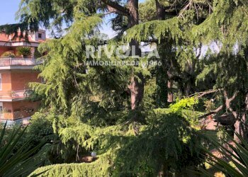 Foto 3 - Appartamento Via Cassia, Roma - foto 3