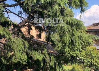 Foto 12 - Appartamento Via Cassia, Roma - foto 12