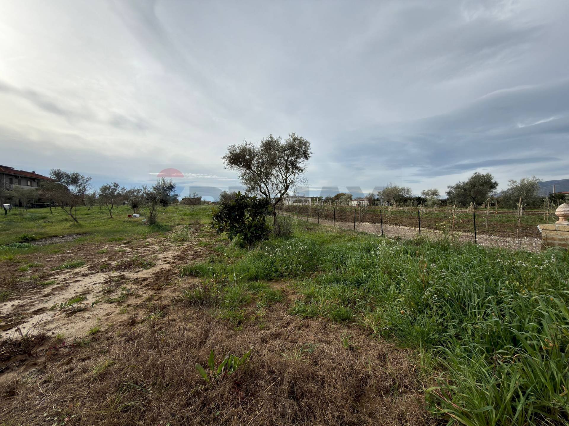 Giardino - Terreno agricolo dei centurioni, Formia - foto 2