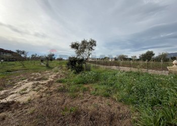 Giardino - Terreno agricolo dei centurioni, Formia - foto 5