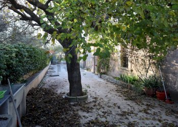 Non correlato - Rustico C.da Tramostera
 
snc, Chiaramonte Gulfi - foto 37