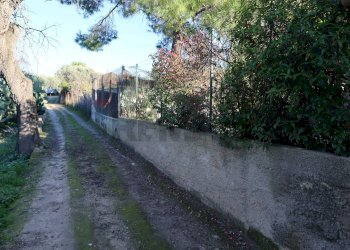 Giardino - Rustico C.da Tramostera
 
snc, Chiaramonte Gulfi - foto 41