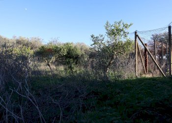 Giardino - Rustico C.da Tramostera
 
snc, Chiaramonte Gulfi - foto 44