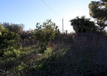 Giardino - Rustico C.da Tramostera
 
snc, Chiaramonte Gulfi - foto 45