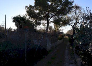 Edificio all\'aperto - Rustico C.da Tramostera
 
snc, Chiaramonte Gulfi - foto 46