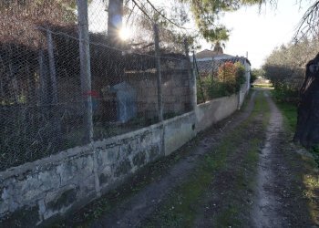 Giardino - Rustico C.da Tramostera
 
snc, Chiaramonte Gulfi - foto 47