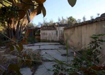 Giardino - Rustico C.da Tramostera
 
snc, Chiaramonte Gulfi - foto 49