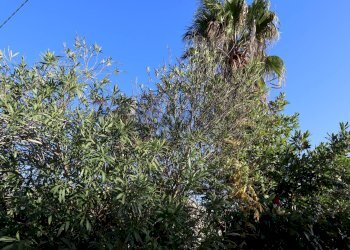 Edificio all\'aperto - Rustico C.da Tramostera
 
snc, Chiaramonte Gulfi - foto 53