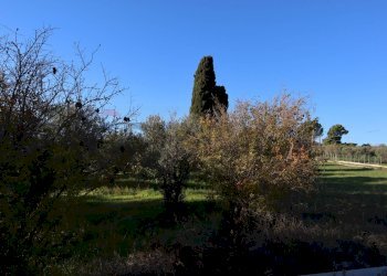 Giardino - Rustico C.da Tramostera
 
snc, Chiaramonte Gulfi - foto 56