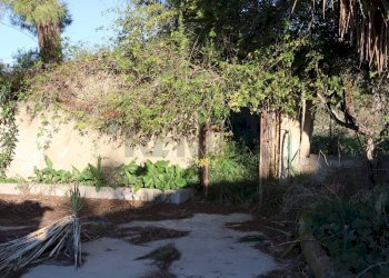 Giardino - Rustico C.da Tramostera
 
snc, Chiaramonte Gulfi - foto 57