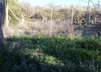 Giardino - Rustico C.da Tramostera
 
snc, Chiaramonte Gulfi - foto 58