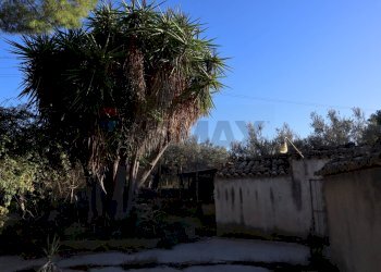 Giardino - Rustico C.da Tramostera
 
snc, Chiaramonte Gulfi - foto 60