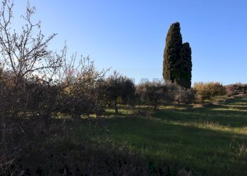 Giardino - Rustico C.da Tramostera
 
snc, Chiaramonte Gulfi - foto 61