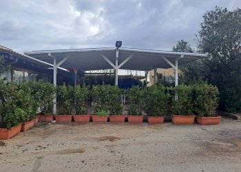 Terrazza - Casa indipendente Via del Frassino - C.da S.Maria del Focallo, Ispica - foto 14