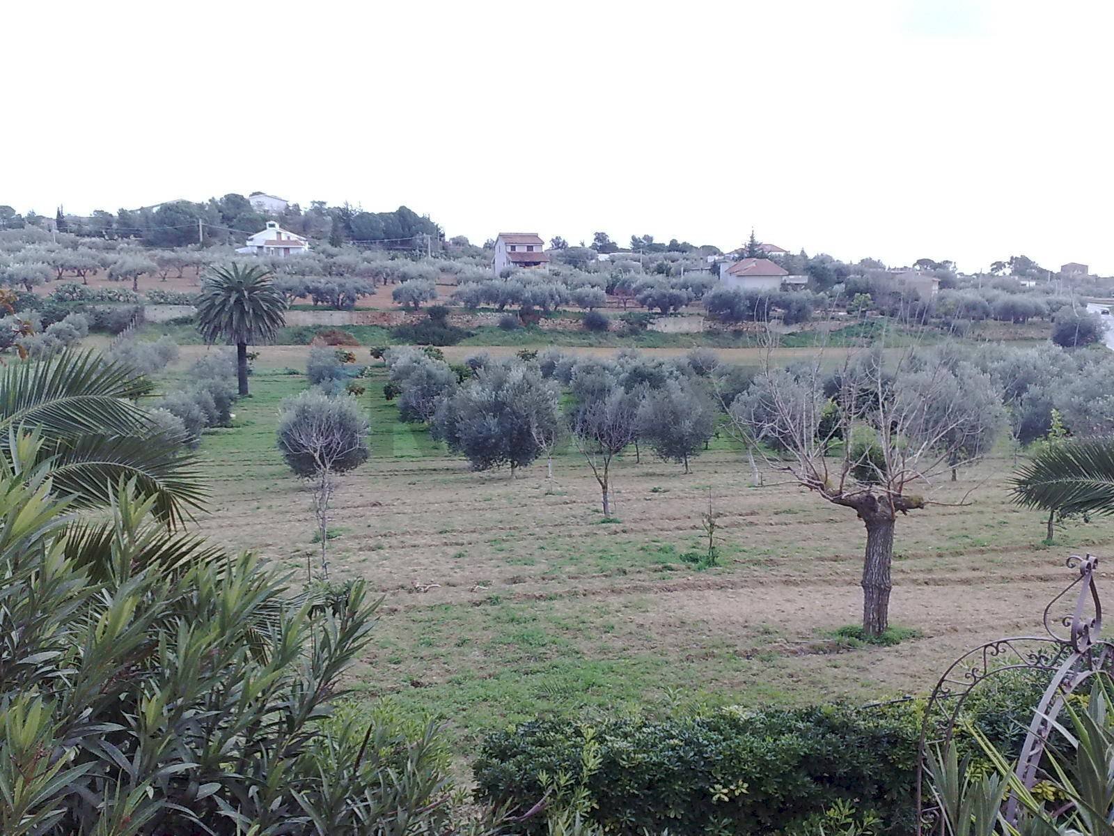 Non correlato - Terreno edificabile CONTRADA APA, Niscemi - foto 1