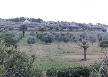 Non correlato - Terreno edificabile CONTRADA APA, Niscemi - foto 2